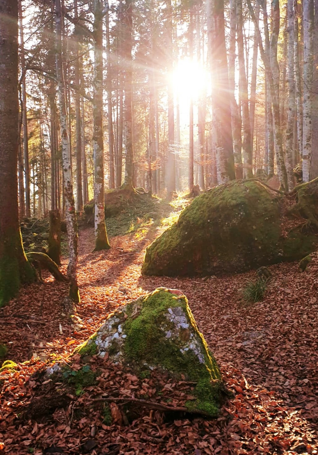 Herbst_Retreat